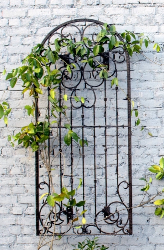 Wall Trellis Arched Top with Knuckle Joints and Scrollwork, Charcoal