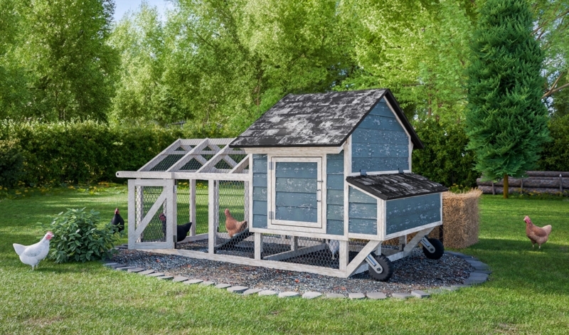 Weathered Slate Blue Mobile Chicken Tractor with Gabled Run