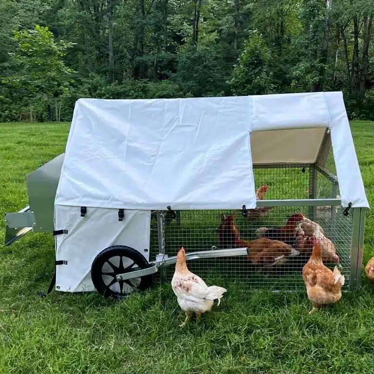 White Canvas Coop with Mobile Wheeled Base and Metallic Silver Frame