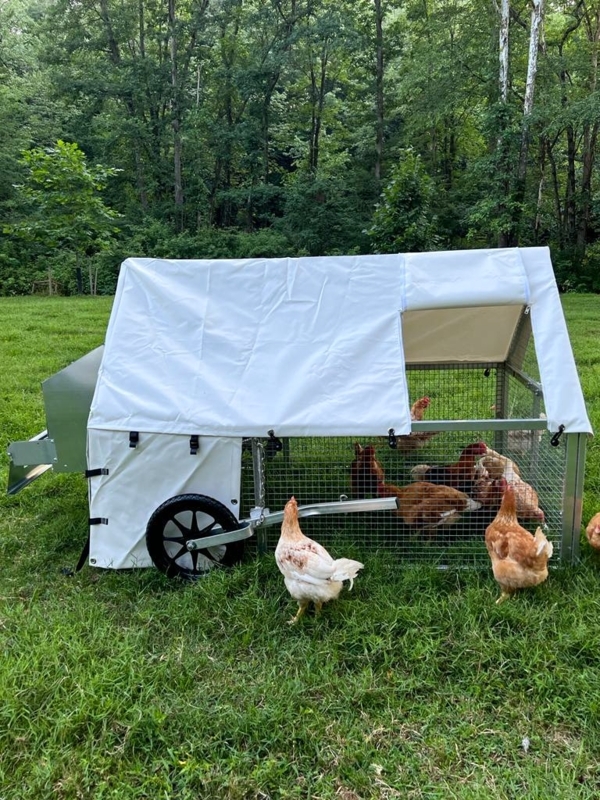 White Canvas Top Mobile Chicken Tractor for Pastured Poultry