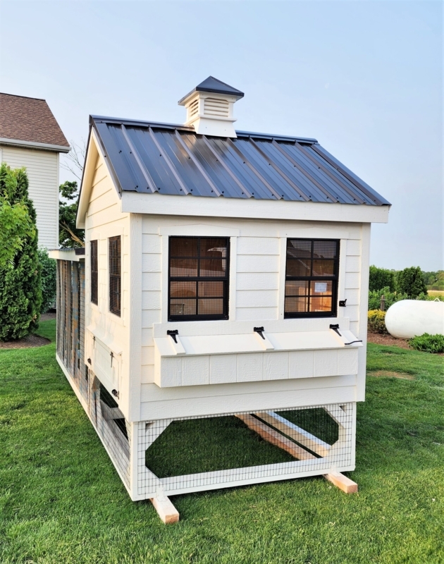 Wooden Chicken Coop with Vented Cupola - Black Metal Roof Coop