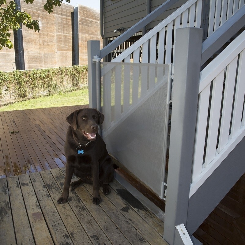10 Best Dog Gates For Stairs | Foter