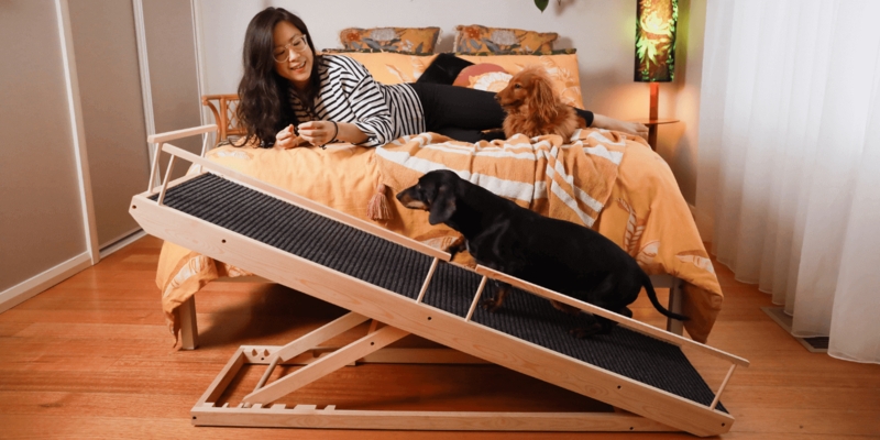 Adjustable Wooden Dog Ramp Light Oak Notched Base Textured Traction