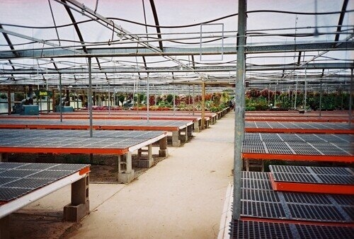 AV Lifetime No Legs Grow Benches - Gothic Arch Greenhouses|Gothic Arch  Greenhouses
