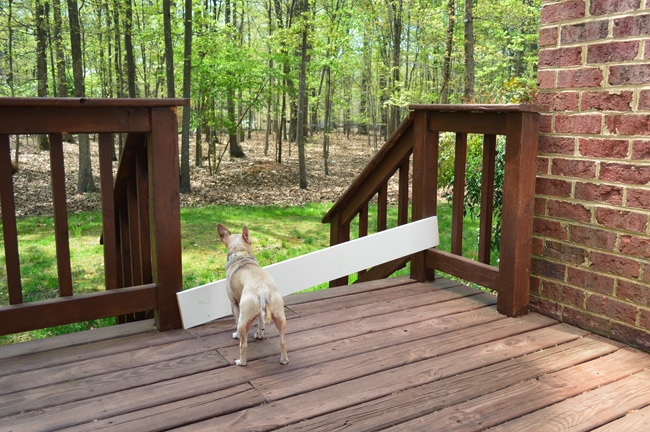 Best pet gate for deck Free Shipping How To Make A Deck Gate Young House  Love