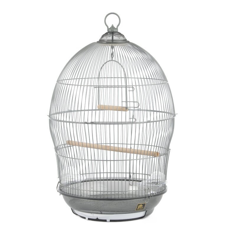 Birdcage, Traditional Hanging Style, Dual Wood Perches, Circular Base