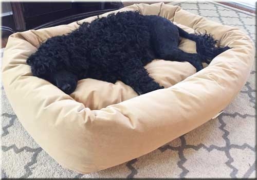 Bolster Dog Bed Recessed Center Warm Beige Plush Filling Orthopedic