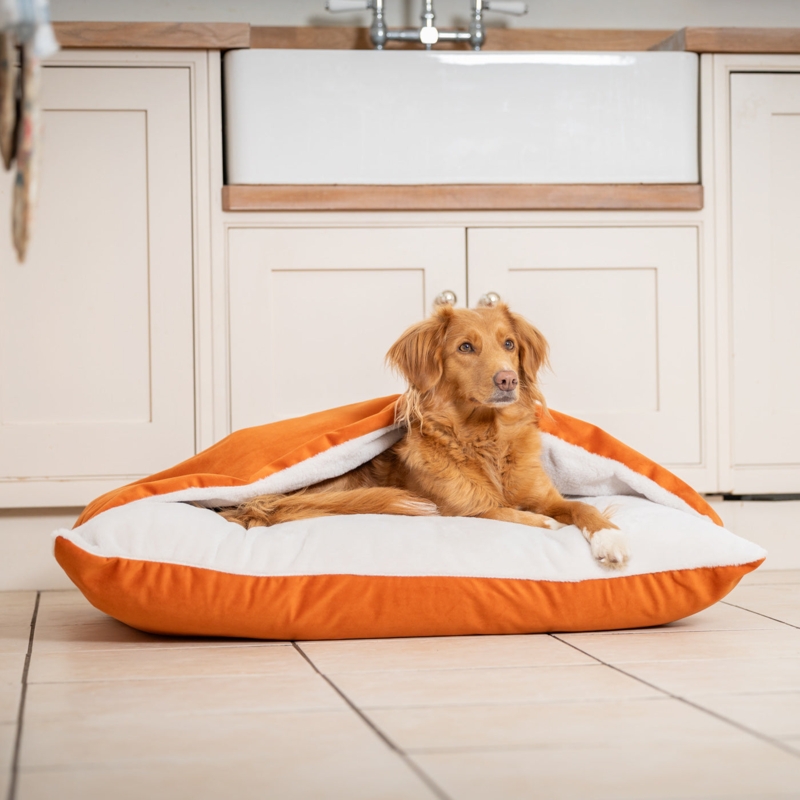 Burrow Dog Bed Pumpkin Orange Velvet Faux Shearling Cozy