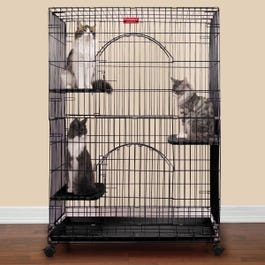 Cat Cage Industrial Wire Design with Distinctive Arched Doors
