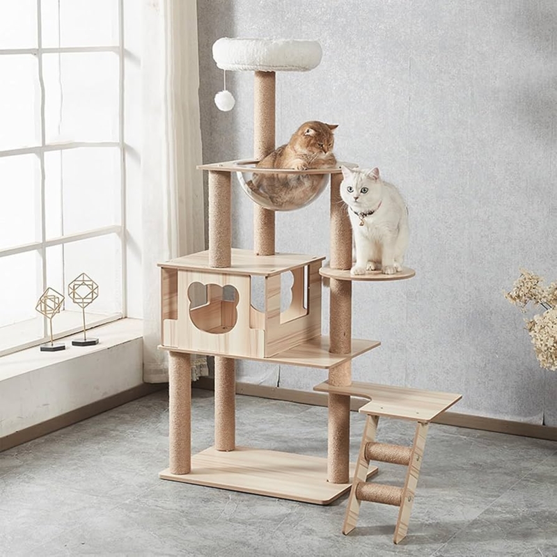 Cat Tree Modern Wood with Transparent Space Capsule and Bear Cutout