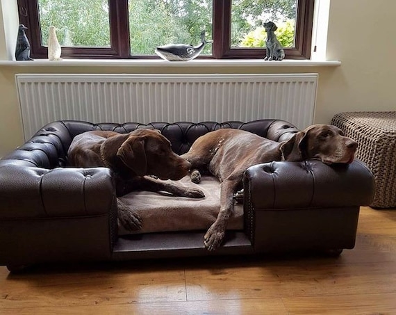 Chesterfield Dog Bed in Chestnut with Deep Tufting and Low Entry