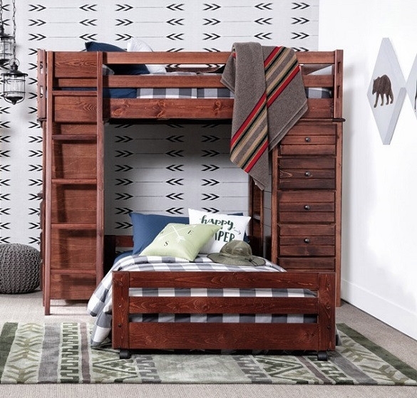 Cocoa Brown Loft Bunk Bed with Integrated Chest