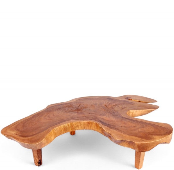 Coffee Table One Slab Live Edge Wood Rustic Minimalist