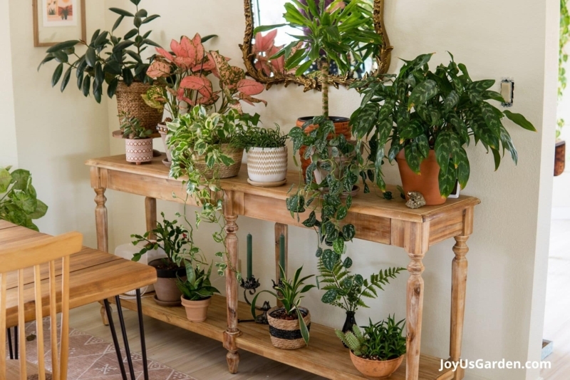Console Table: Rustic Two-Tier Wooden Shelf with Distressed Finish