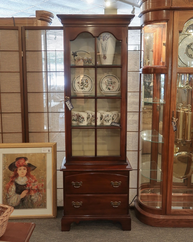 Curio Cabinet Traditional Slim Profile Arched Glass Mahogany Tone
