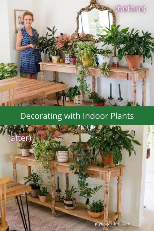 Decorating With Indoor Plants: How To Style Plants On A Table