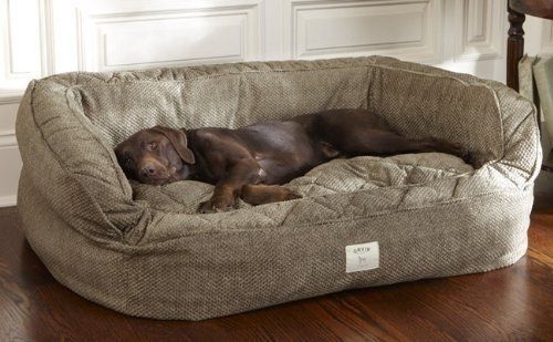 Designer Dog Beds For Large Dogs | Foter