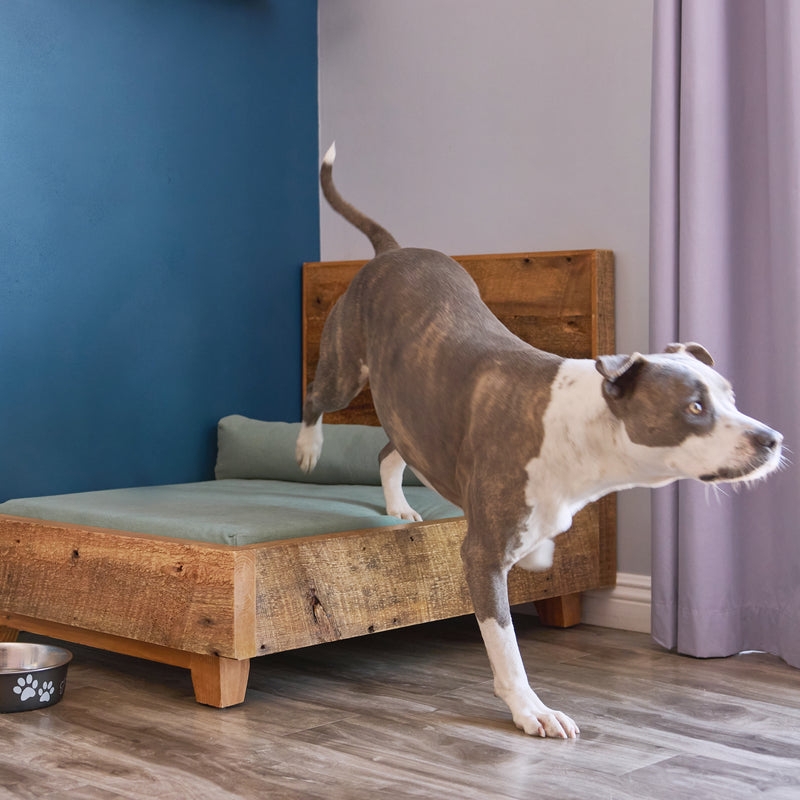 Dog Bed Frame Headboard Sage Green Mattress Rustic Wood Raised