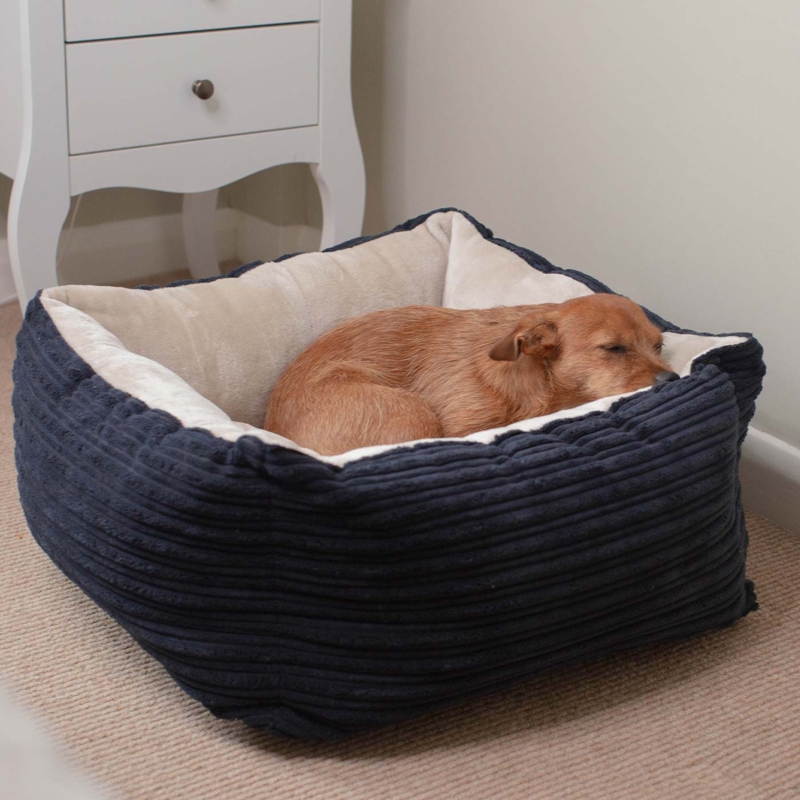 Dog Bed, Navy Ribbed Corduroy Box Design, Plush Lining