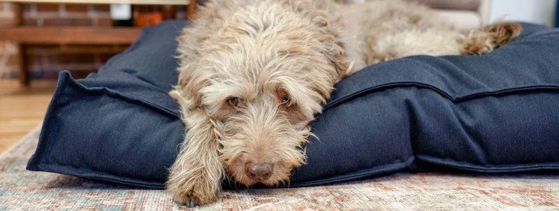 Dog Bed, Navy Textured Fabric Lounger, Piped Edges