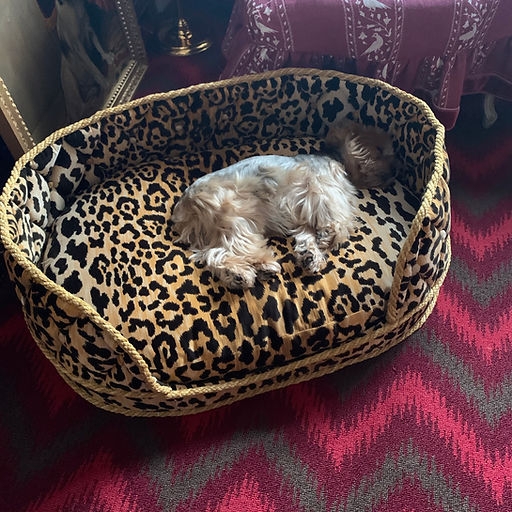 Dog Bed Oval Bolstered Braided Rope Trim Maximalist Leopard Print