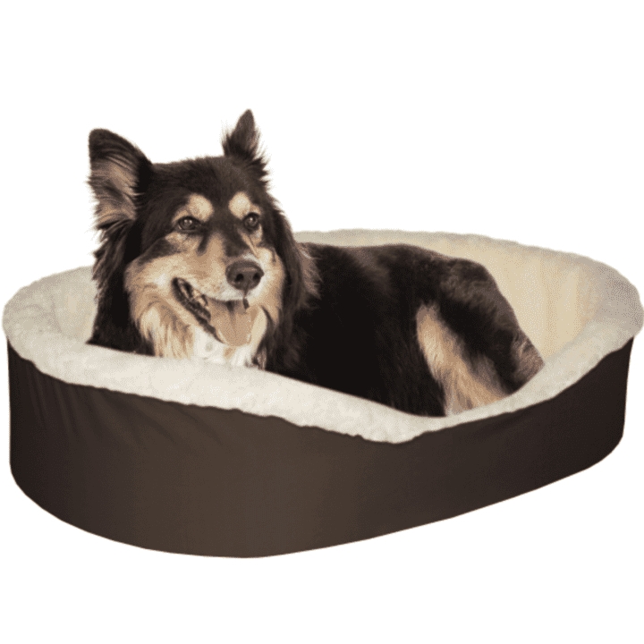 Dog Bed, Oval Chocolate Brown, Cream Contrast Lining