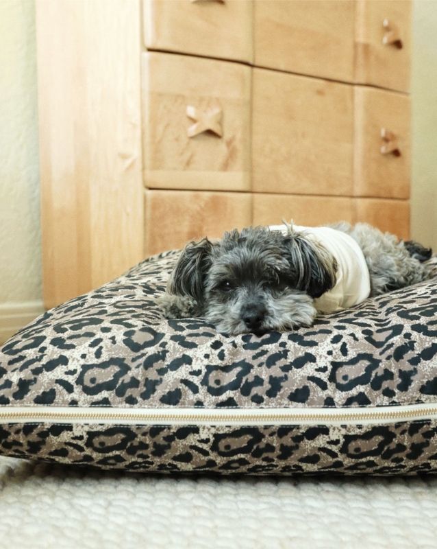 Dog Bed Oversized Pillow Visible Gold Zipper Leopard Print Modern Style
