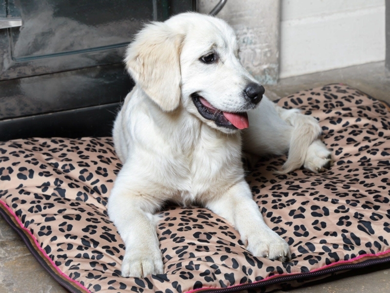 Dog Bed Quilted Mat Hot Pink Piping Leopard Print Water Resistant Look
