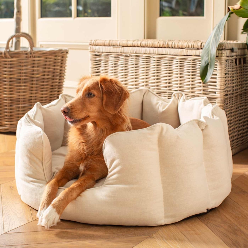 Dog Bed Scalloped Edges Warm Cream High Wall Rustic Chic Pet Styling