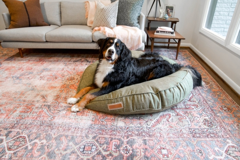 Dog Bed Textured Weave Moss Green Round Bolster Mid-Century Chic
