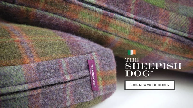 Dog Bed, Wool Tartan Plaid, Purple and Green Box Cushion