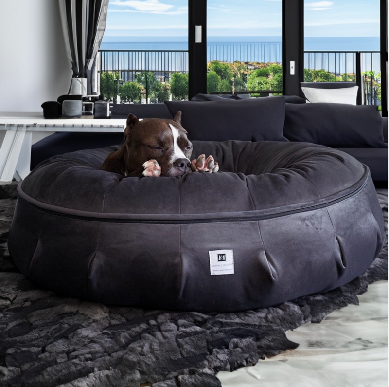 Dog Bed Zippered Perimeter Charcoal Grey Puffed Bolster Modern Luxury