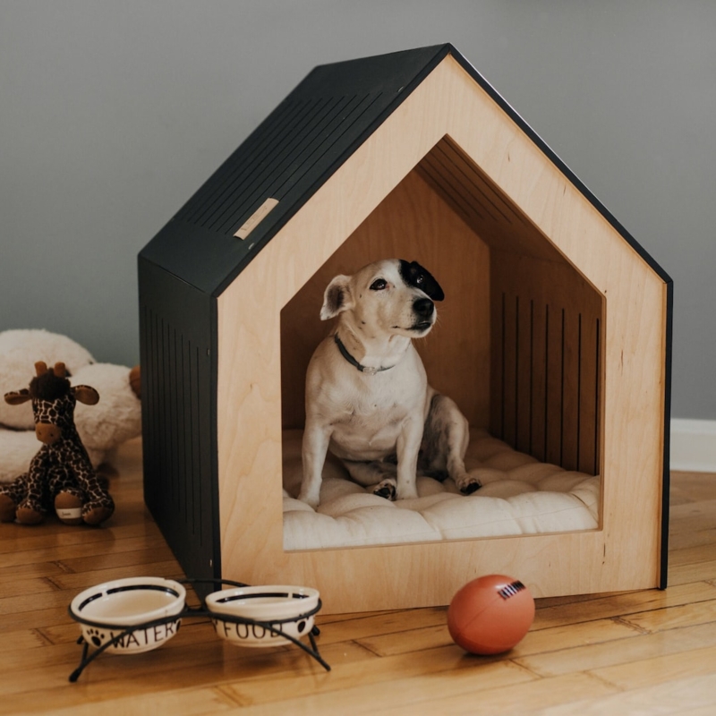 Dog House A-Frame Roof, Matte Black Minimalist Indoor Pet Crate