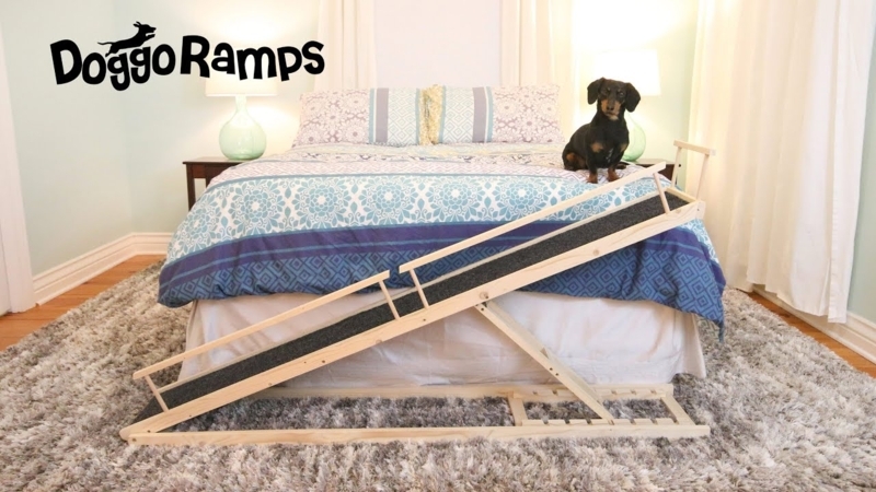 Dog Ramp Notch Locking System Natural Wood Safety Rail Adjustable Foldable