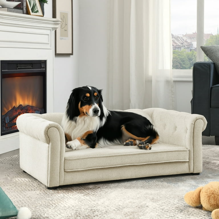 Dog Sofa Elevated Design Warm Beige Rolled Arms Traditional Pet Couch
