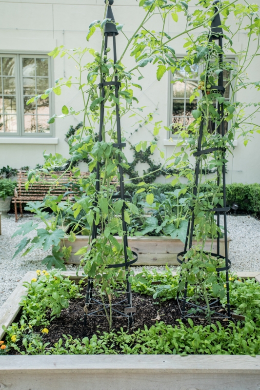 Garden Obelisk, Matte Black Metal Trellis for Raised Bed Gardens