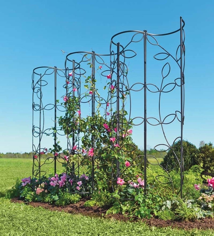 Garden Obelisk Trellis | Foter