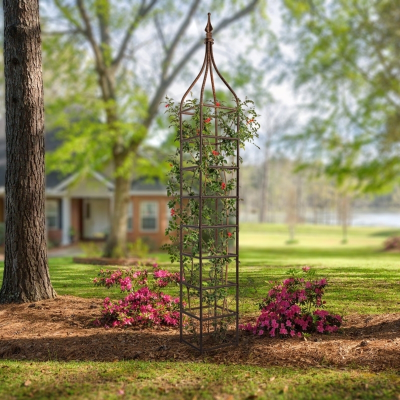 Garden Obelisk Trellis