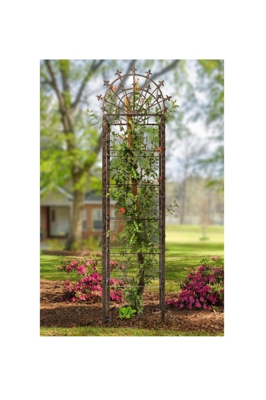Garden Trellis, Tall Weathered Metal with Arched Sunburst Top Motif