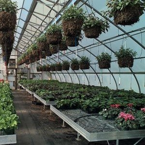 Greenhouse Bench with Overhead Trellis System and Wire Mesh Potting Table