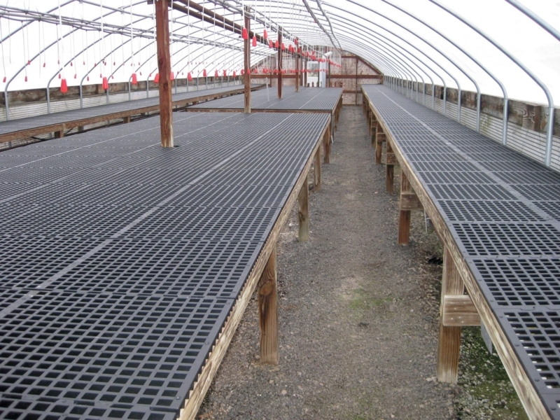Greenhouse Bench with Wooden Supports and Matte Black Grid Surface