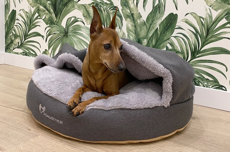 Hooded Dog Bed Charcoal Textured Botanical Snuggle Cave