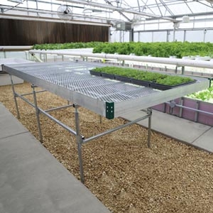 Industrial Silver Greenhouse Bench for Hydroponic Station Setup