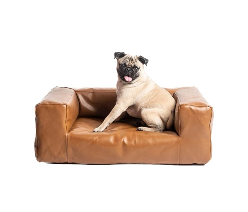 leather dog beds for large dogs
