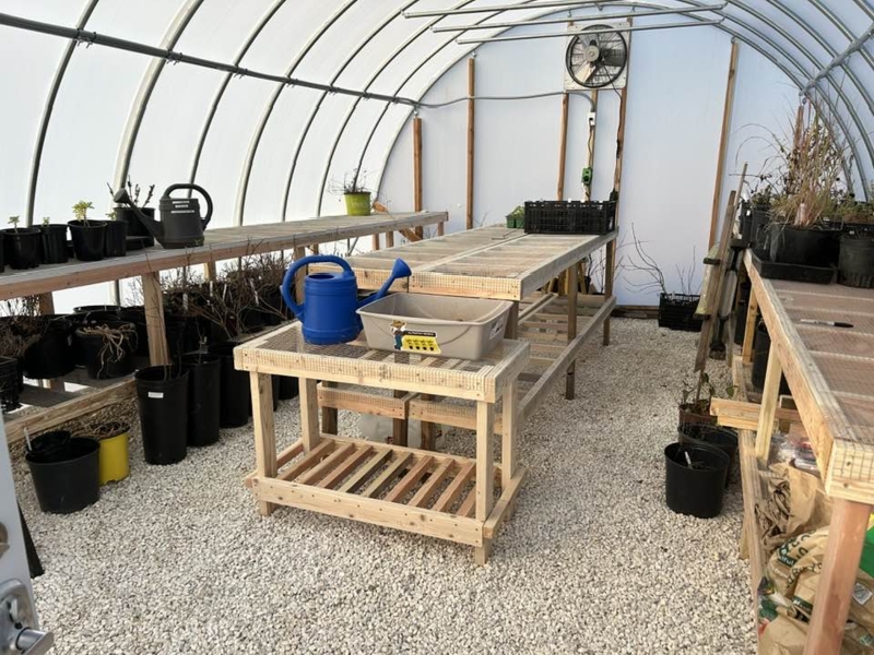 Light Wood Greenhouse Bench with Wire Mesh Top and Slatted Base