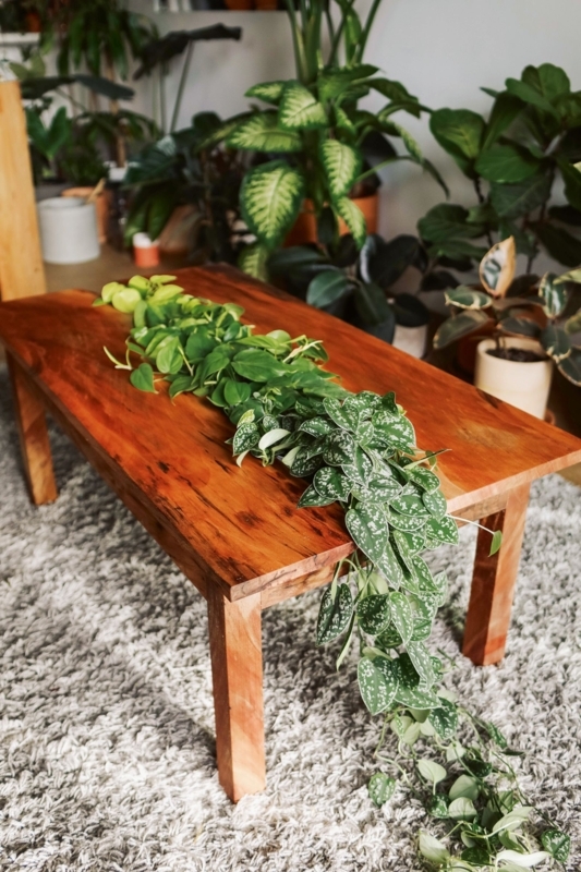 Low Wooden Table: Bench Style Stand with Block Legs, Warm Brown