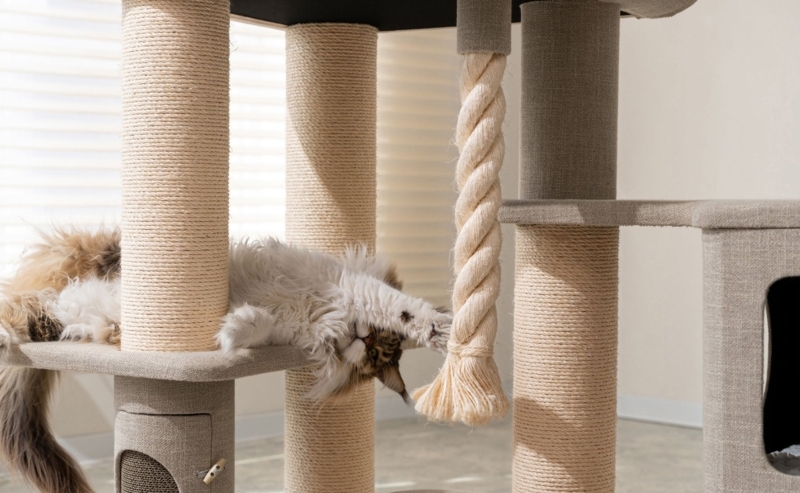 Maine Coon Cat Tree Thick Twisted Rope Sisal Pillars Grey Upholstery