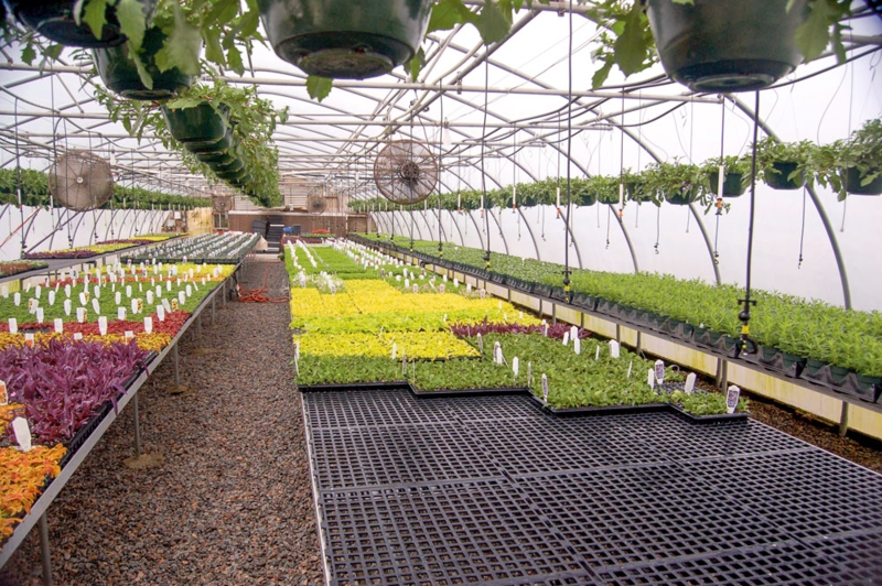 Matte Black Modular Greenhouse Bench Tops with Open Grid Mesh