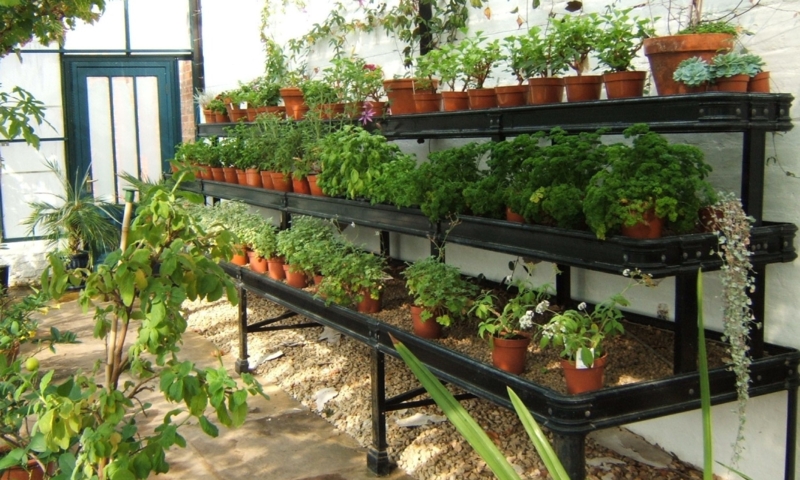 Matte Black Three-Tier Greenhouse Benching with Integrated Plant Trays