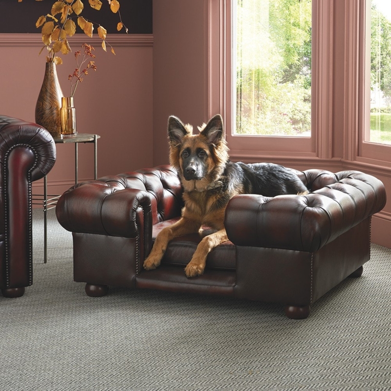 Miniature Pet Sofa in Oxblood with Tufting and Bun Feet